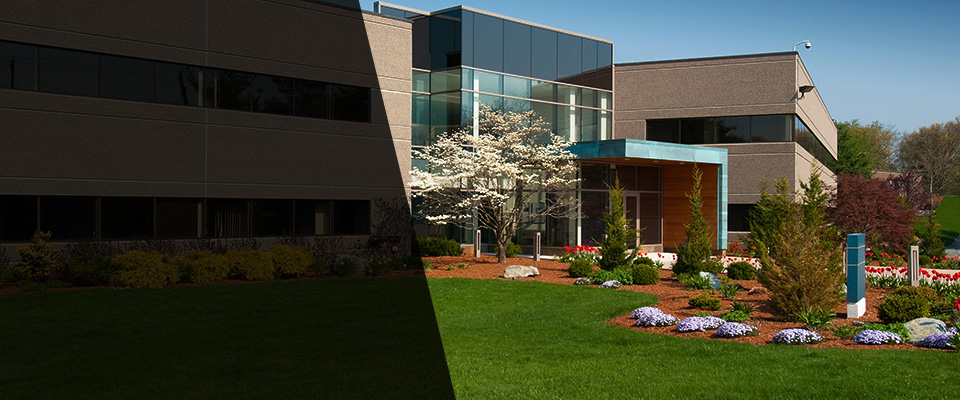 Plover Landscapers