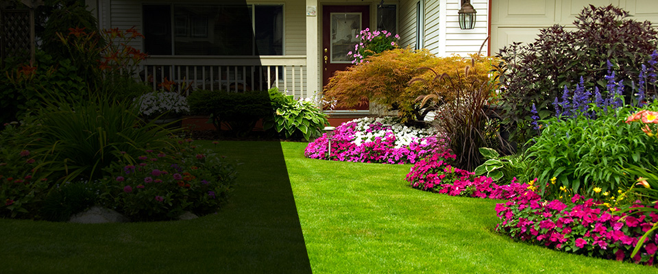 Plover Landscapers