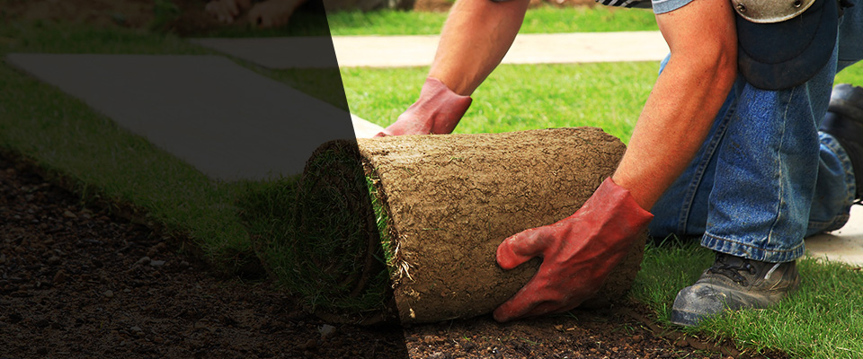 Plover Landscapers